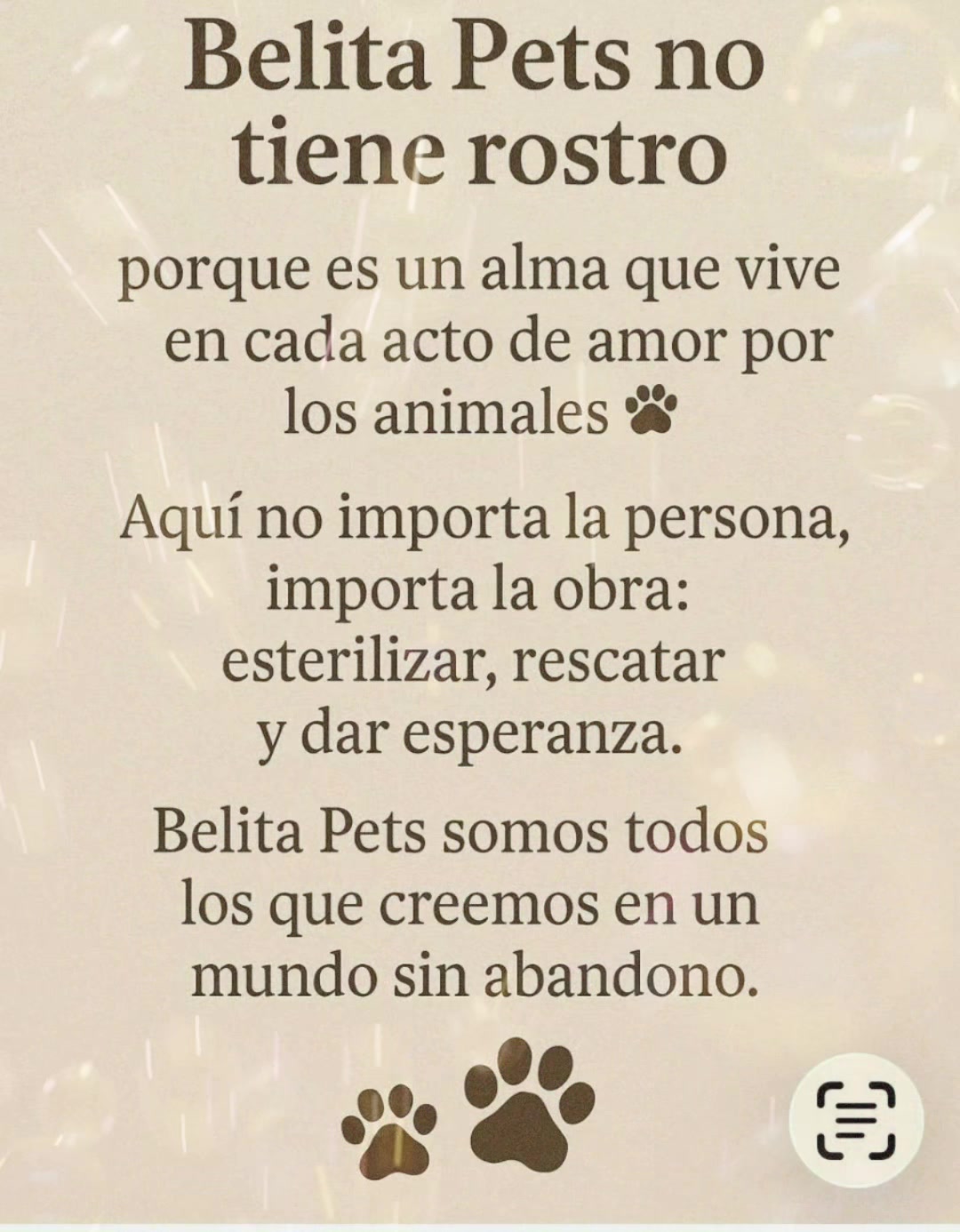 @BelitaPets