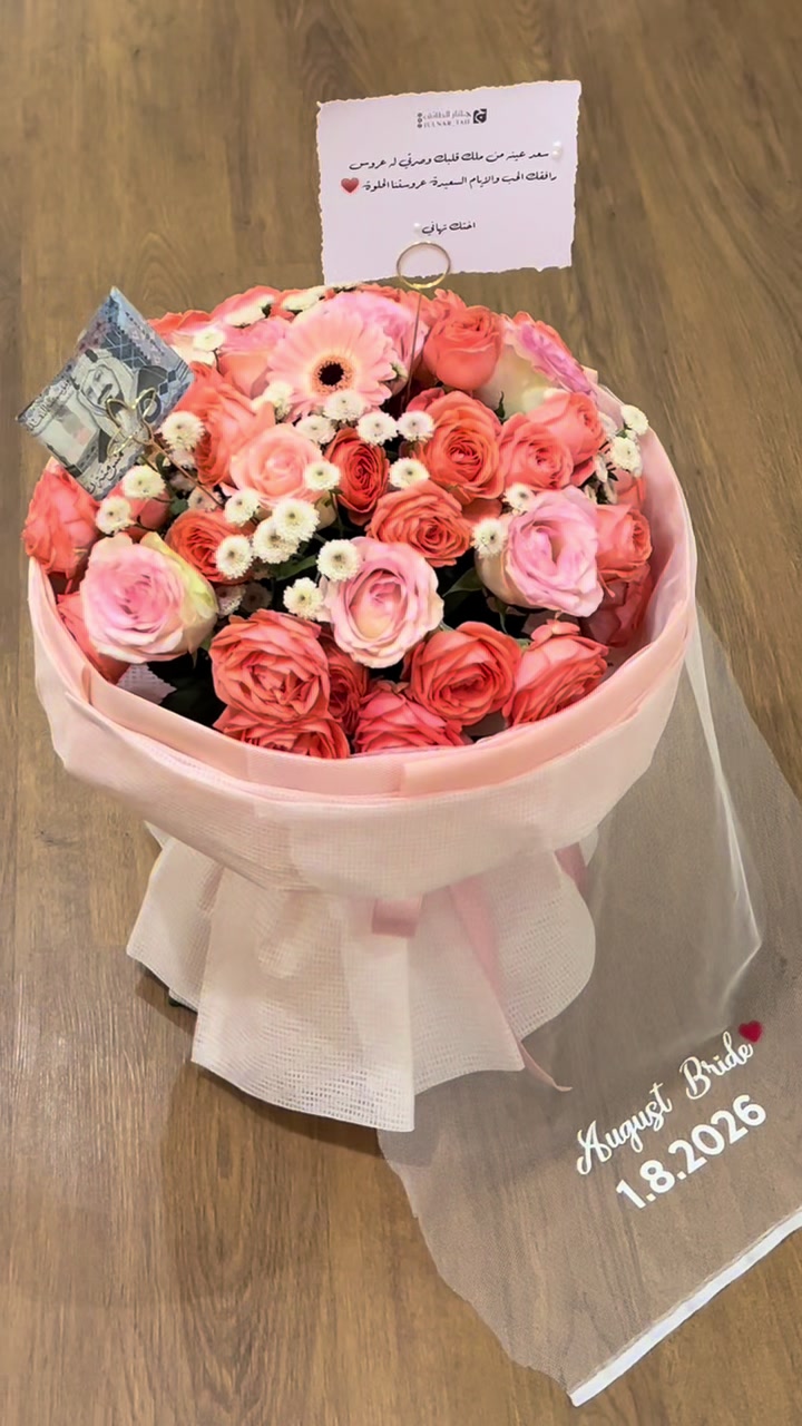 @๐ฏ๐ถ๐ฝ๐ถ๐๐พ ๐ฆข..