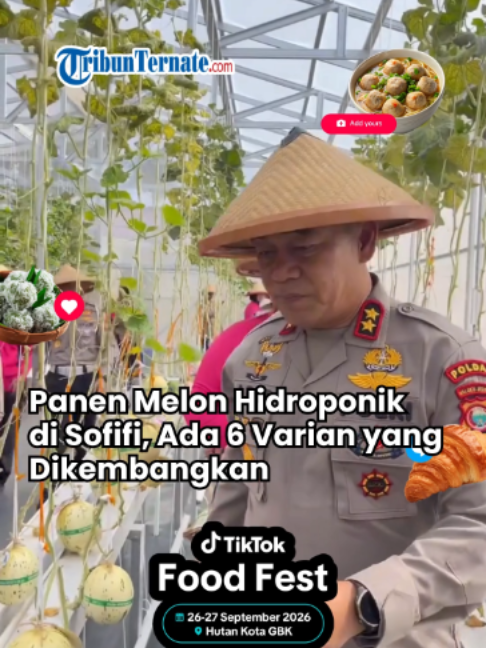 @TribunTernate.com