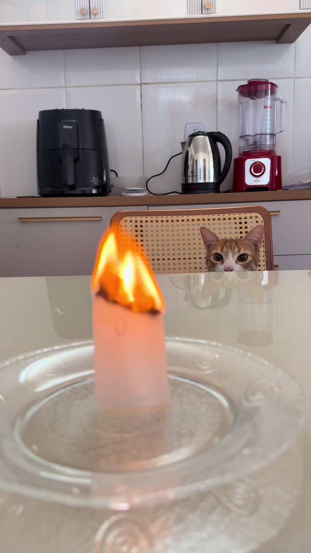 @loheseuspets