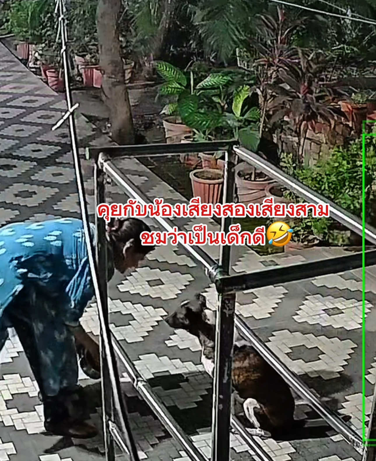@ต้าว India 🇮🇳🇹🇭
