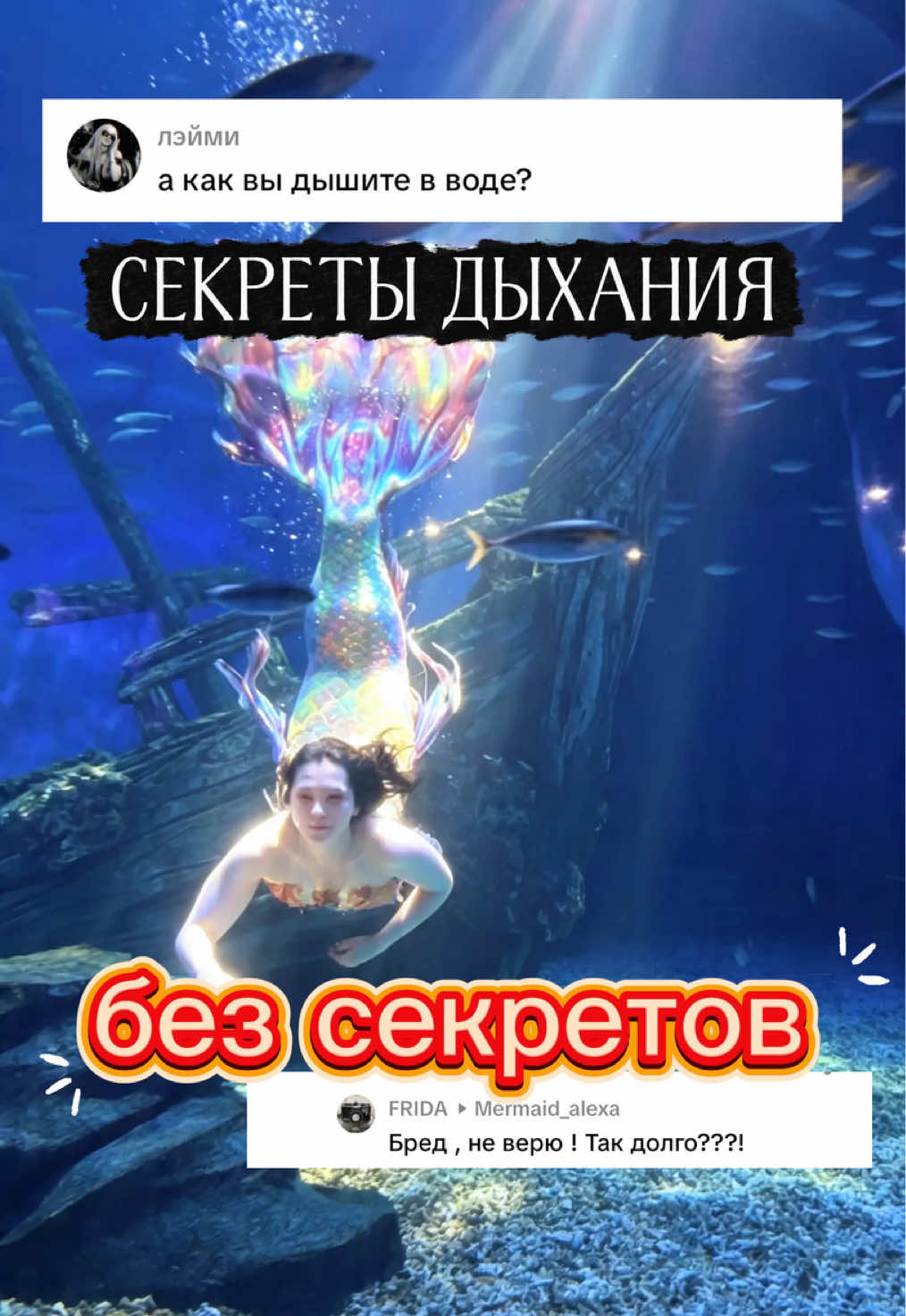 @Mermaid_alexa