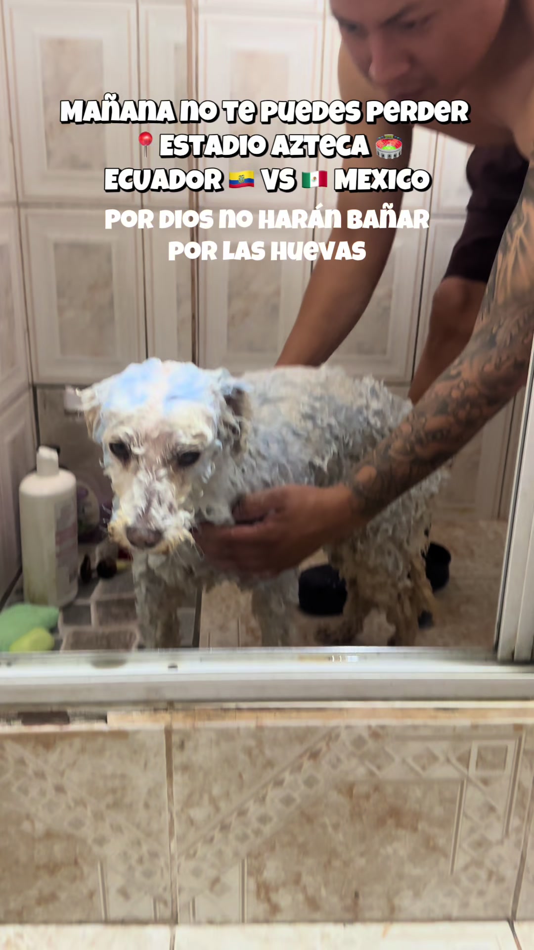 @Lumi.real