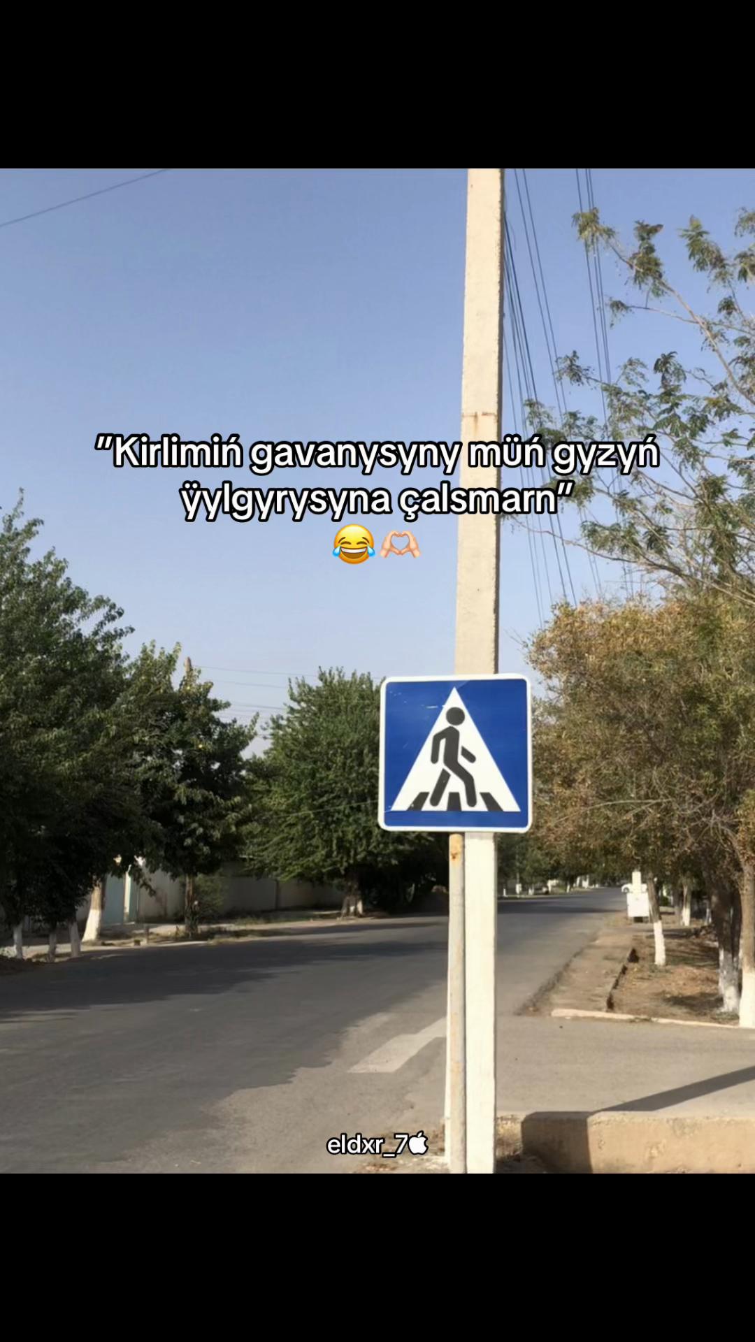 @𝗲𝗹𝗱𝘅𝗿_7