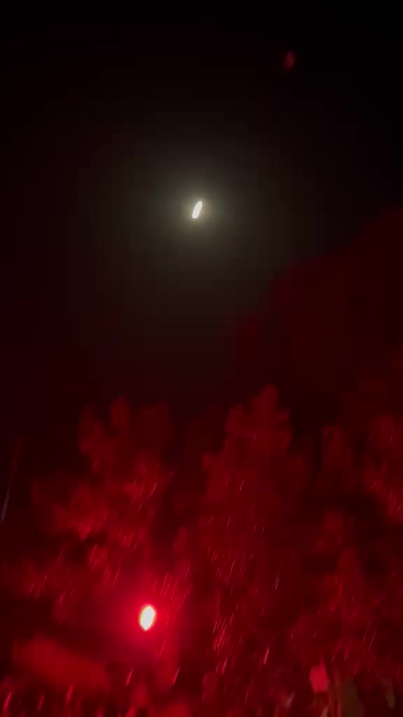 @سید علی ہادی نقوی 🦅