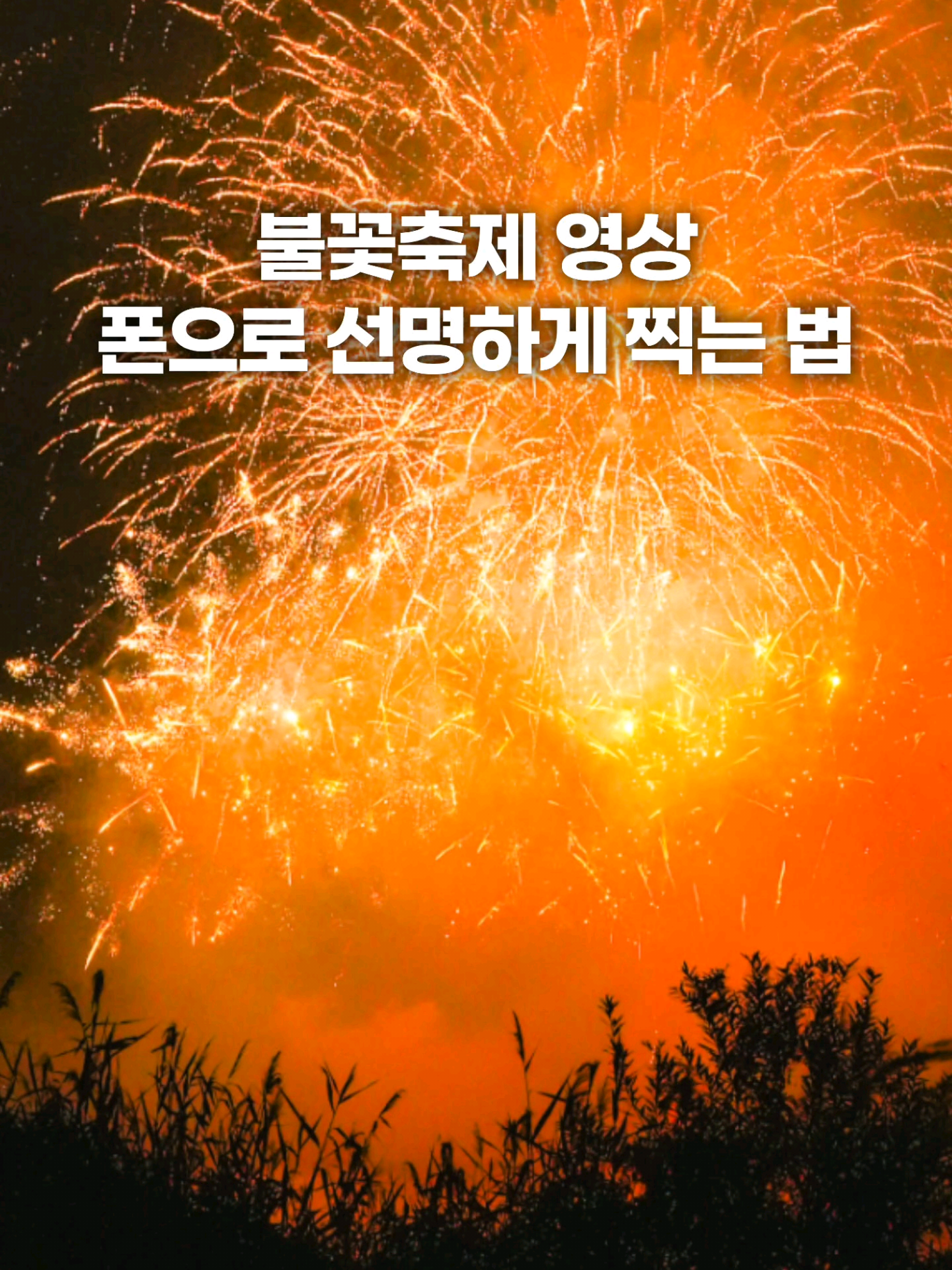 @주니웨어 주니