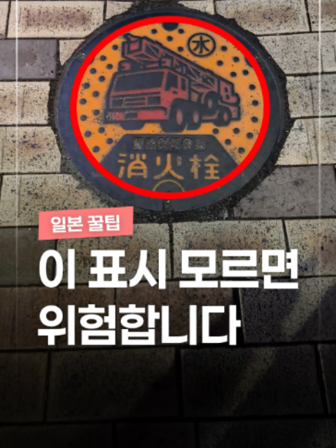 @짤컷