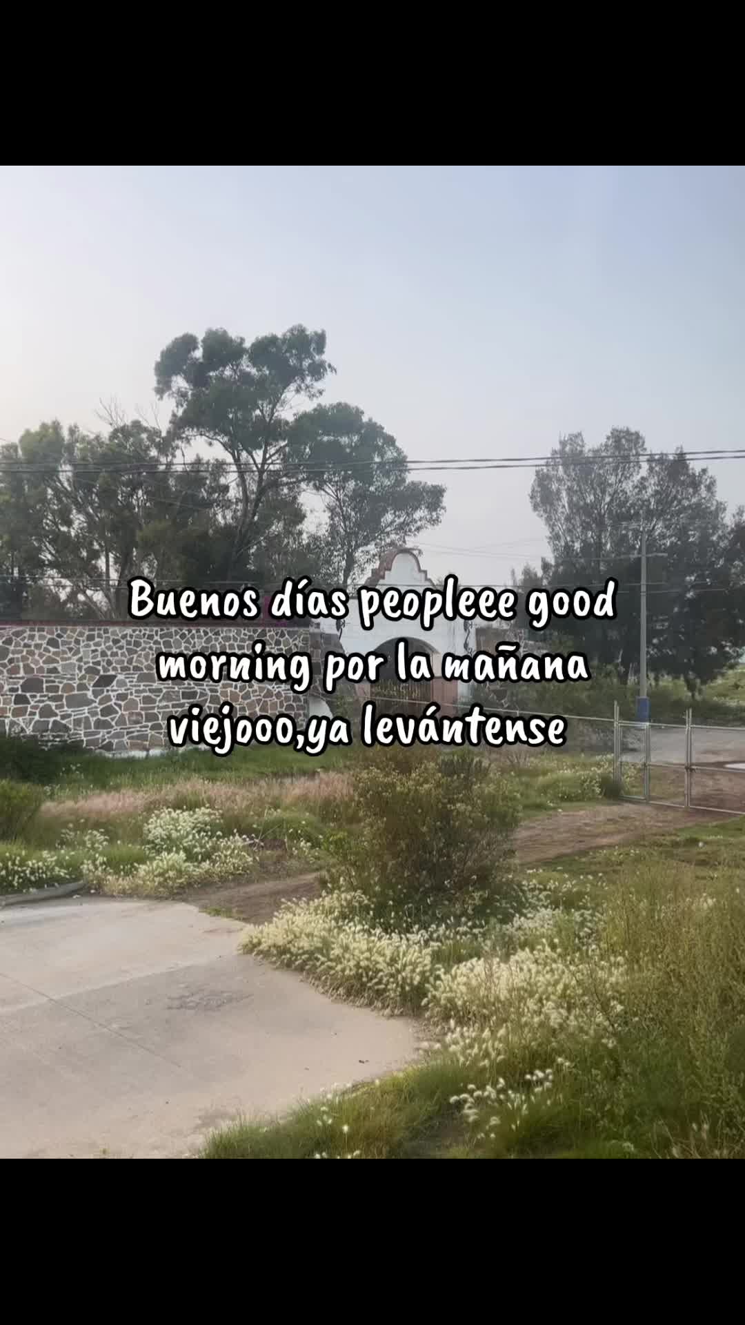 @Tony Ü Riios