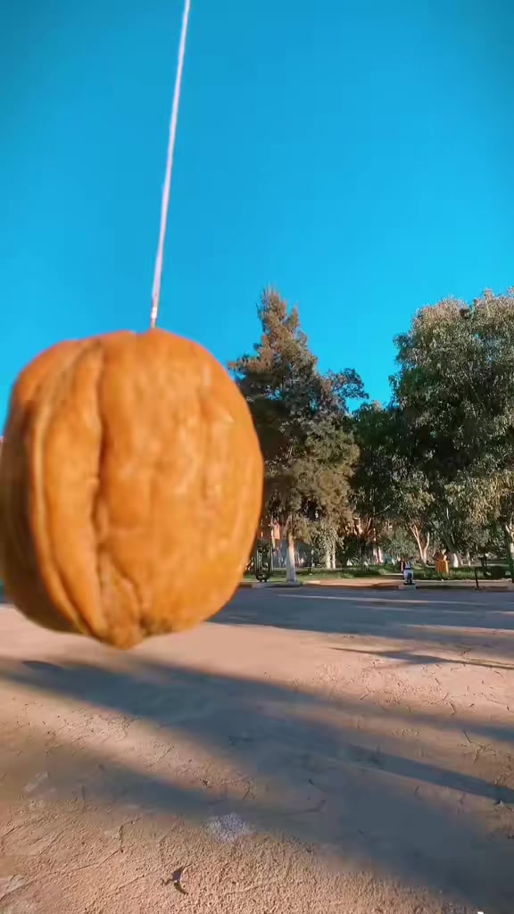 @iliesguebbal