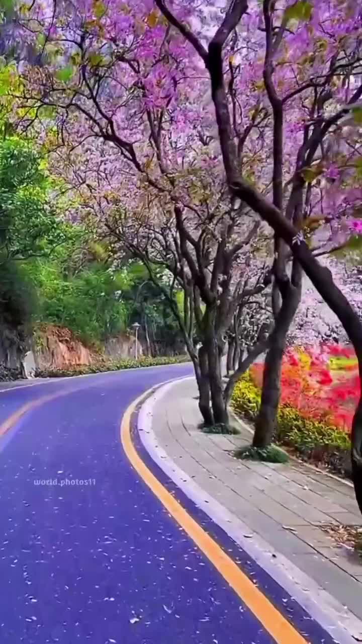 @acı hayat