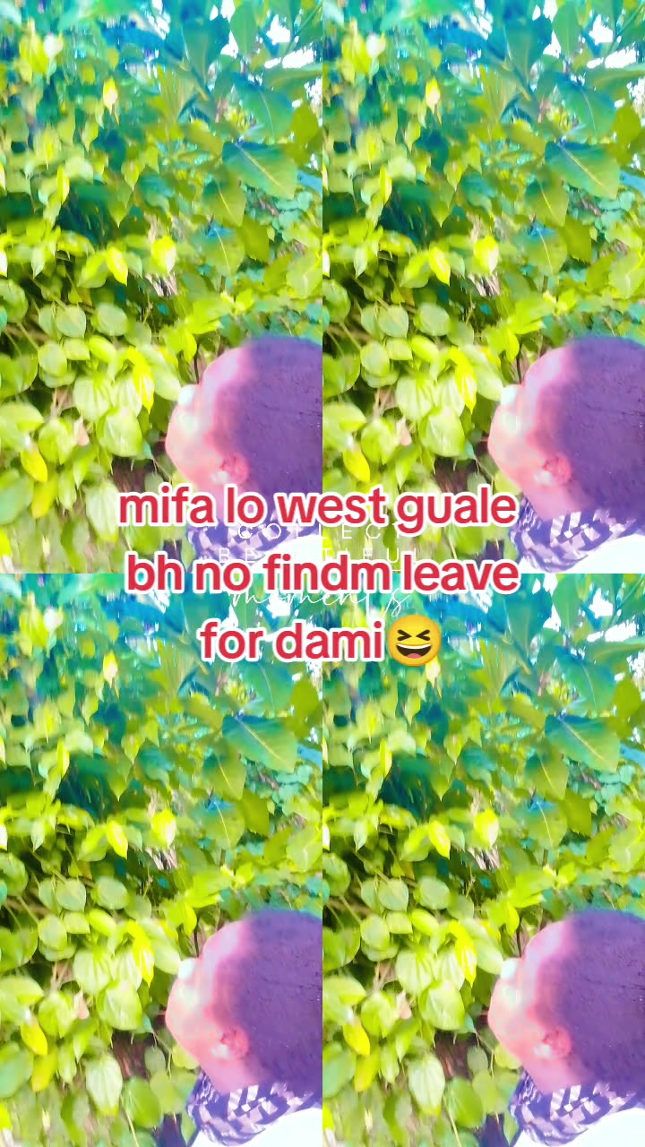 @primzzy