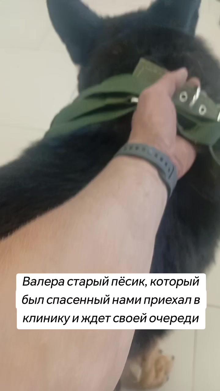 @Передержка «Лёнин рай» 🐶🦮
