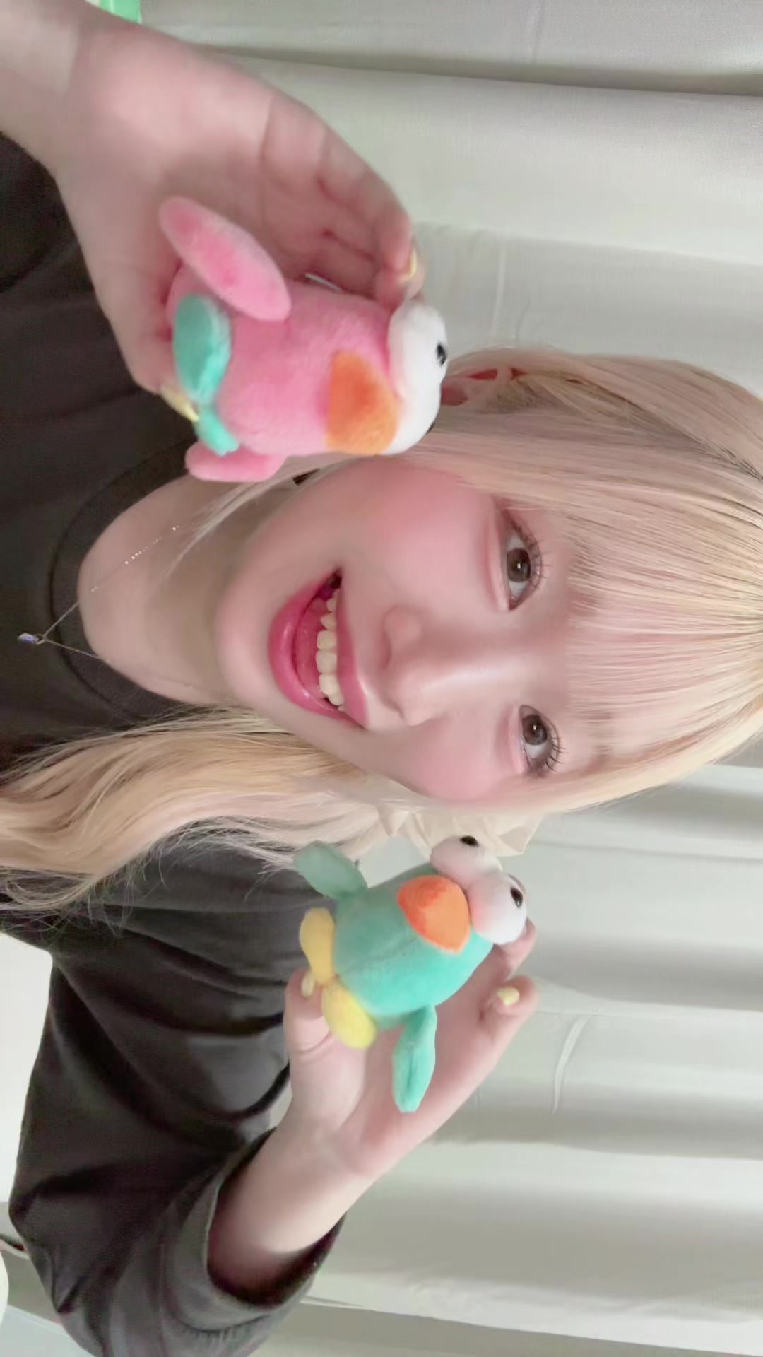 @ﾀｲﾗ&ensp;ﾋﾅﾉ