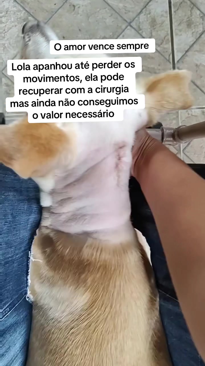 @Ajude a Lola
