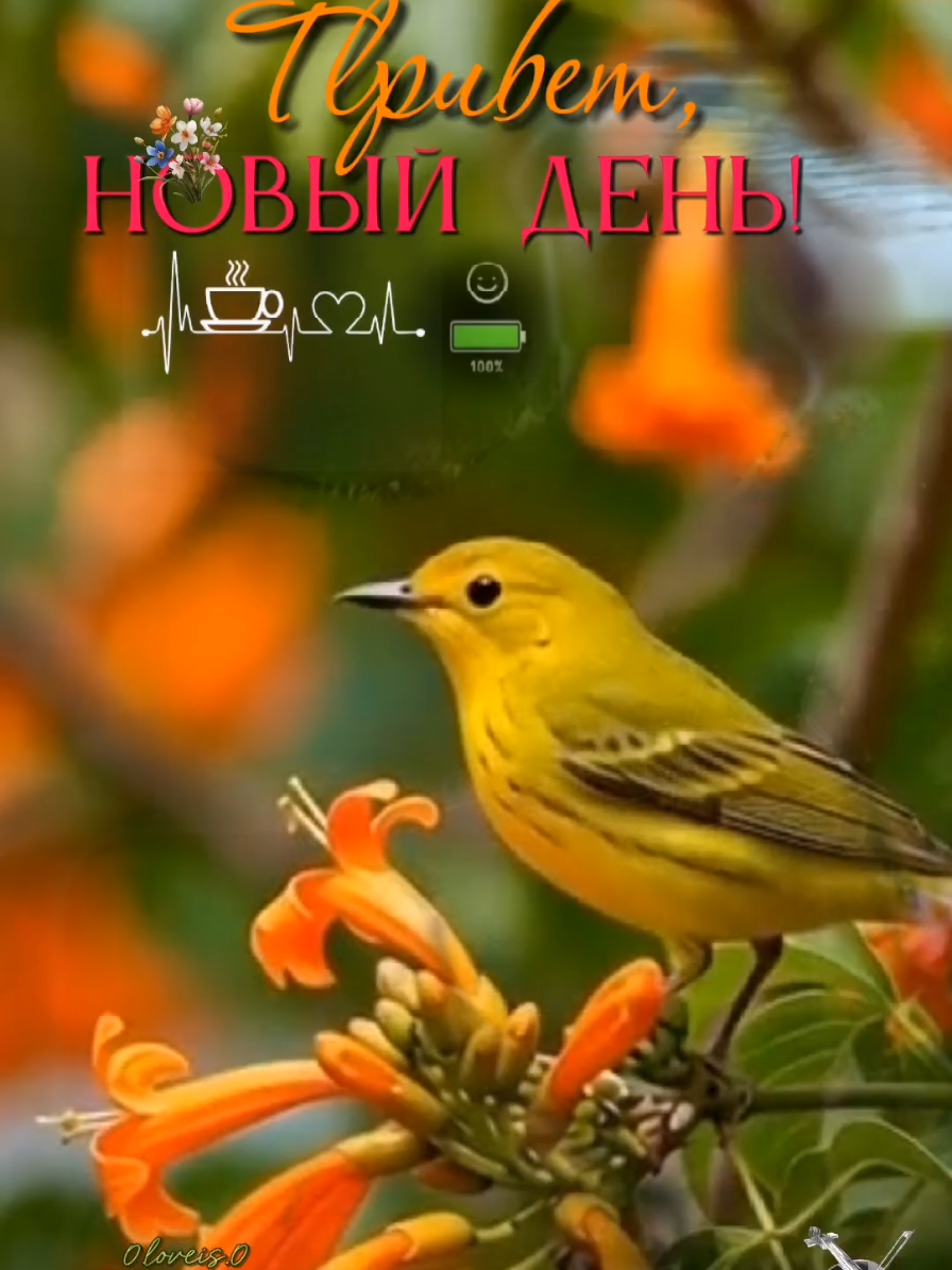 @💐