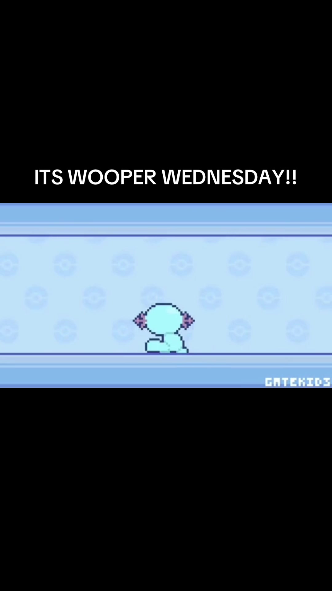 @Woopers Biggest Fan