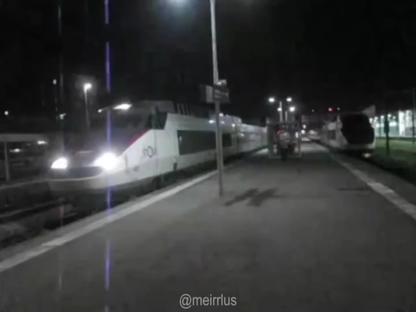 @meirlus
