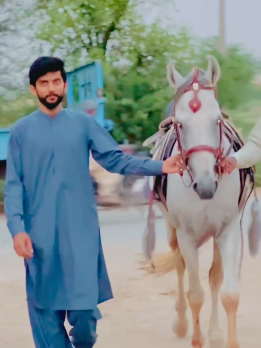 @Usama_ch029