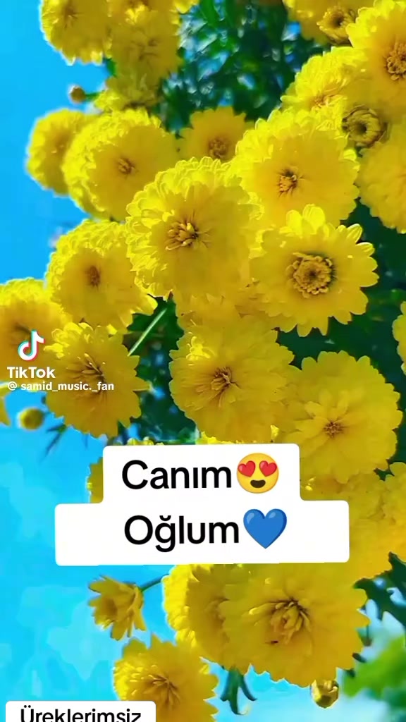 @takib atın☺