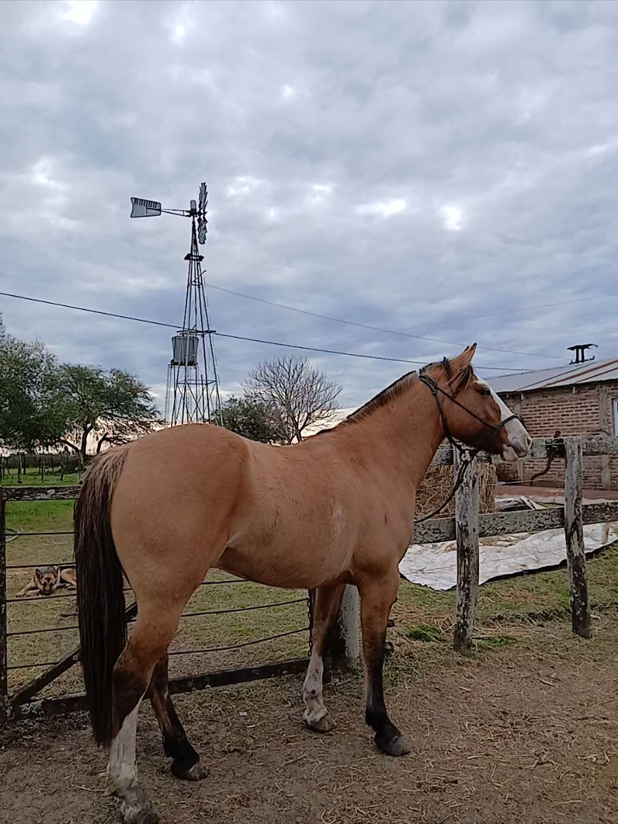 @LeandroPortelaOk
