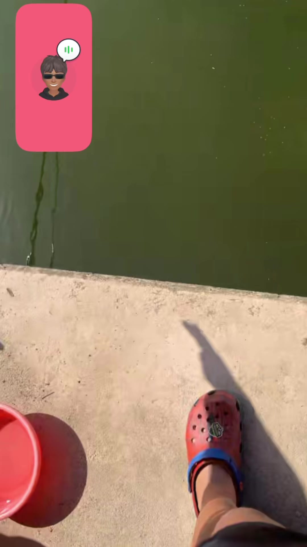 @🇦🇱 🦅 giraffe 🎣