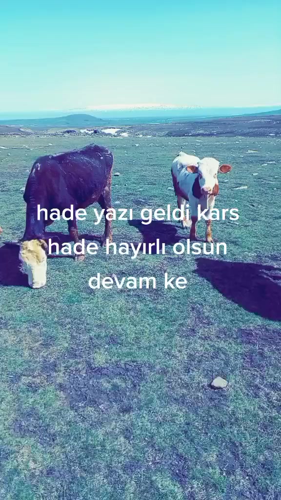 @Beni çekemeyenler ölsün