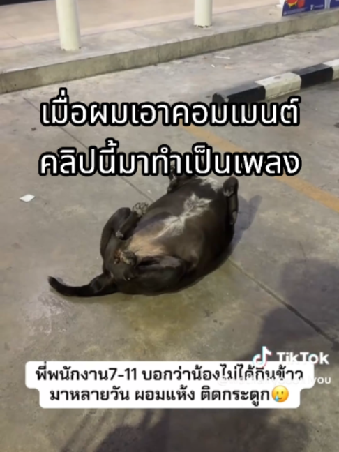 @ผักกาดดด