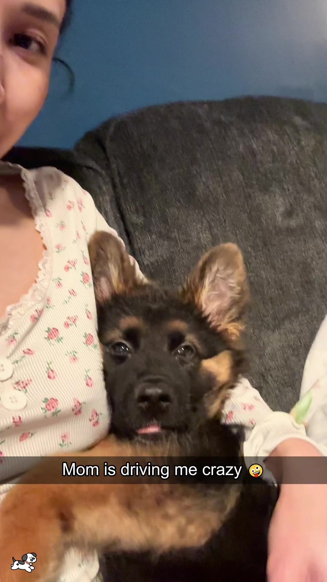 @SneakyFails