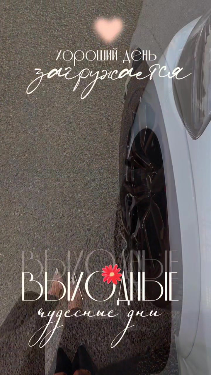 @☆꧁✬◦.𝒱.𝒮𝒽 .✬꧂☆