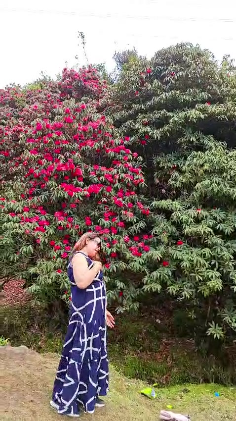 @Gita Dahal mainali