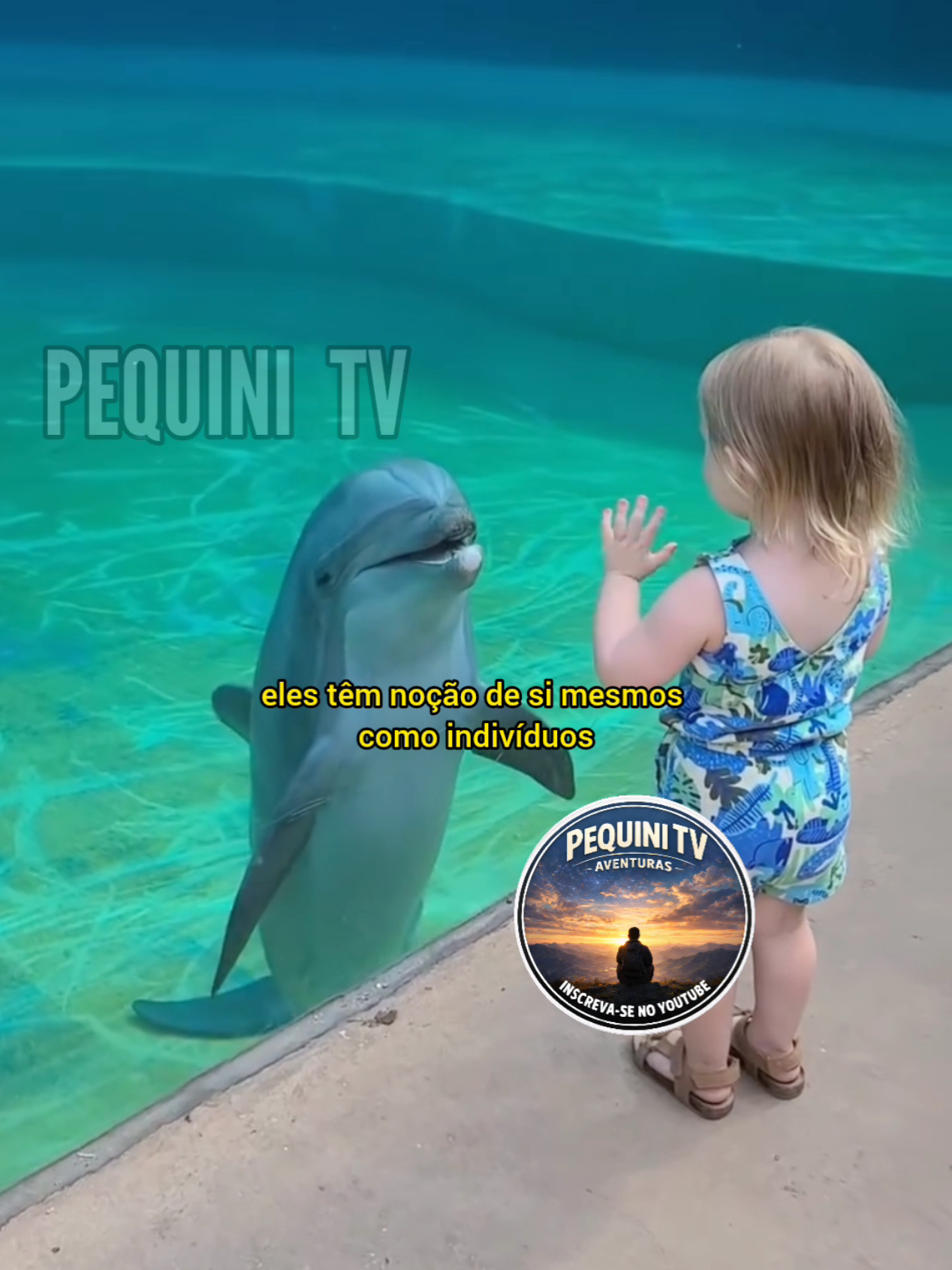 @PEQUINI TV