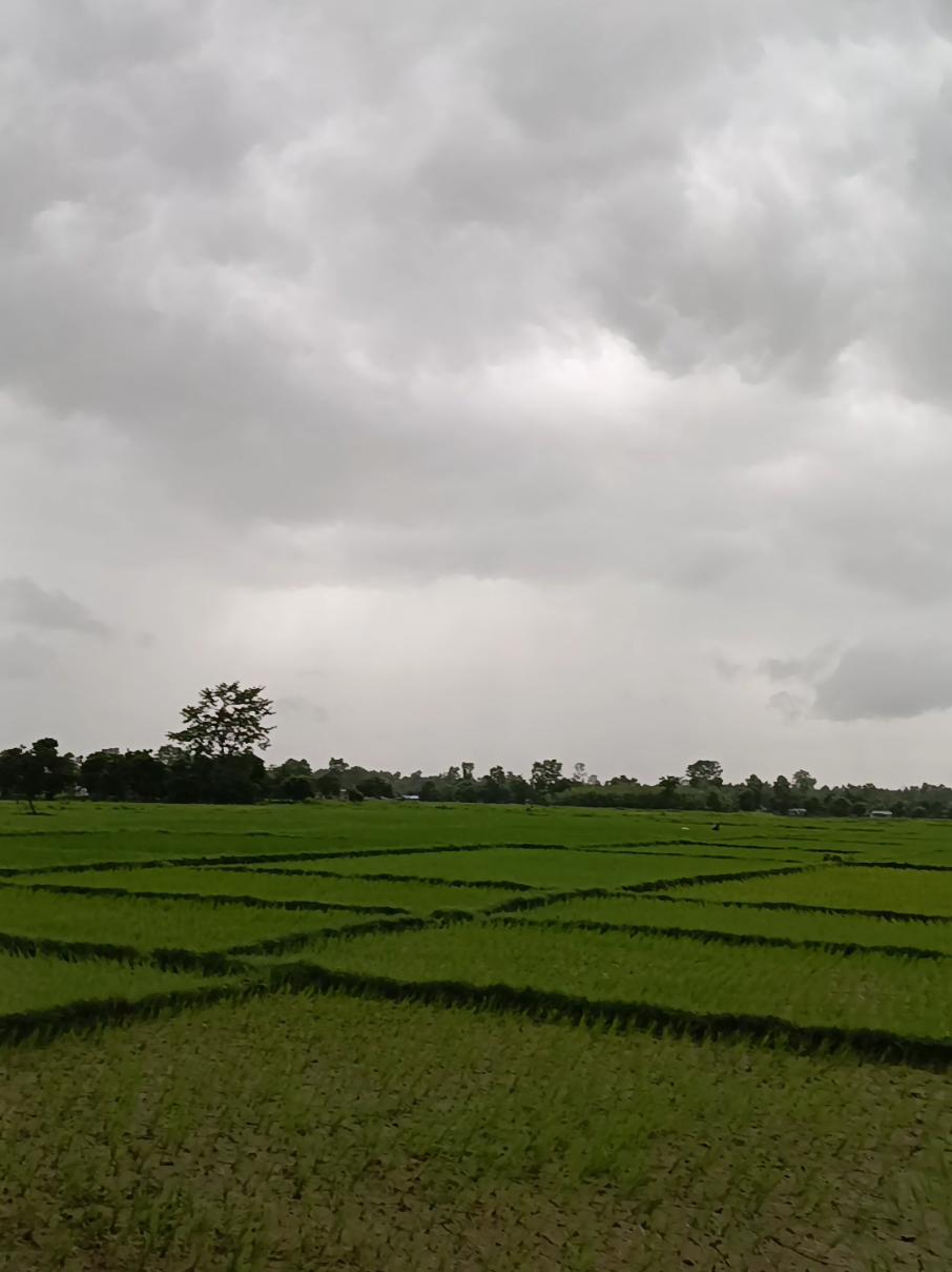 @Shankar Prasad Gautam ЁЯХЙя╕П