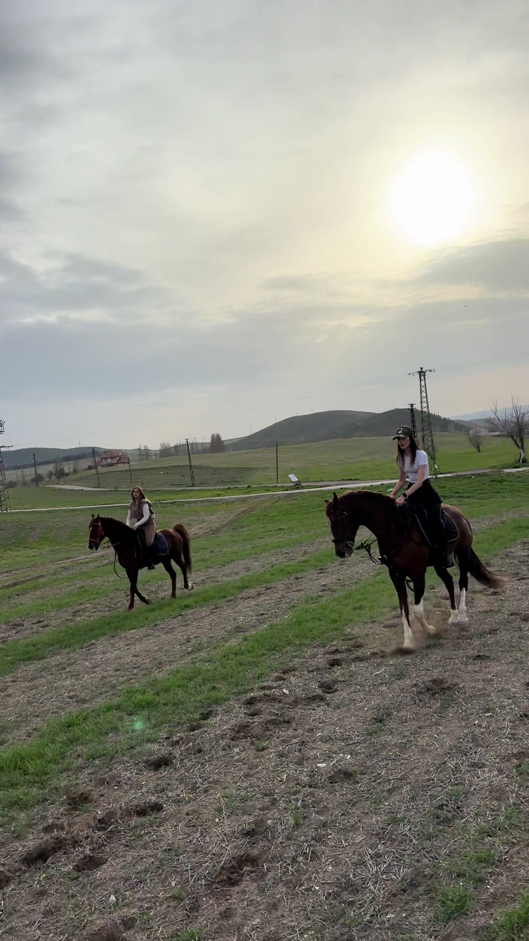 @esra.guzelark