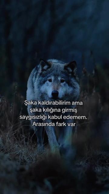 @HAYDAR &Ouml;ZEL