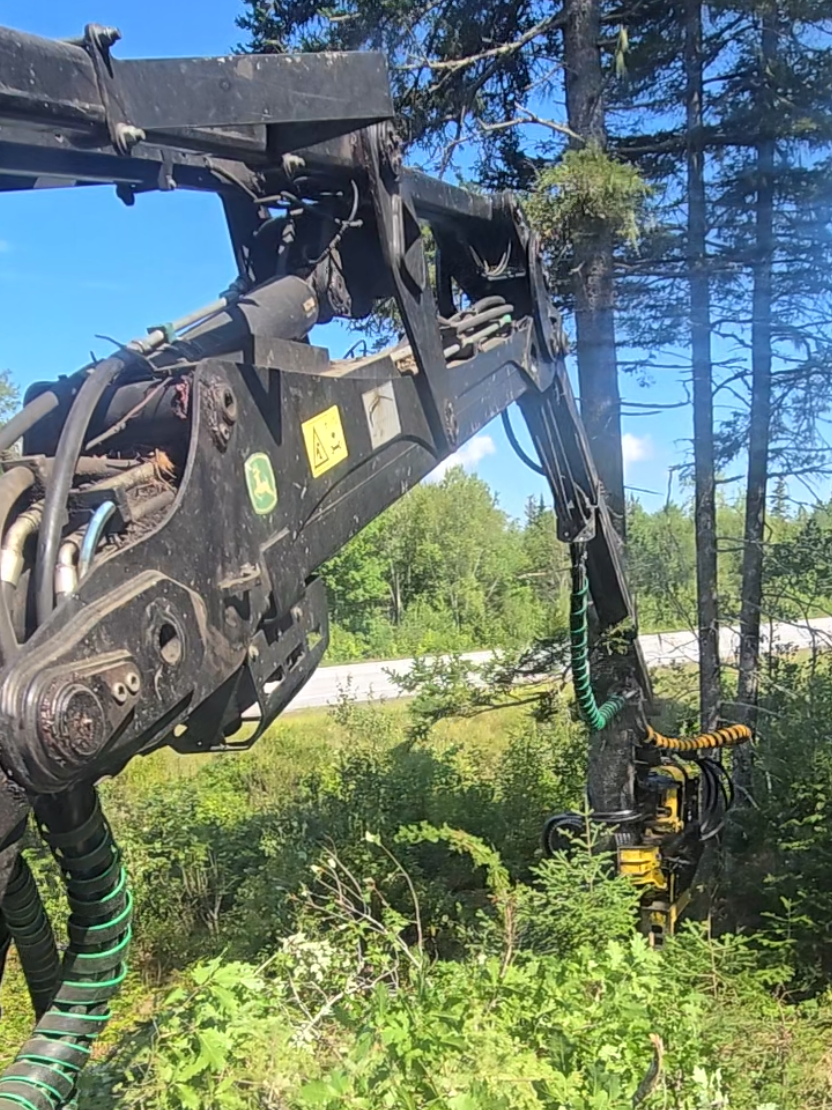 @Nova Scotia Logger