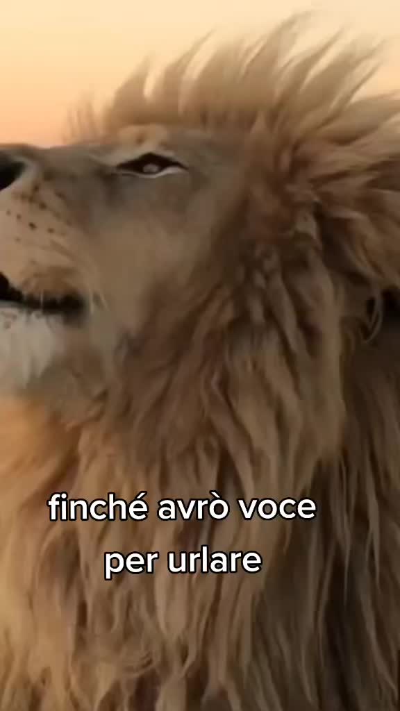 @🌻Francy🌻