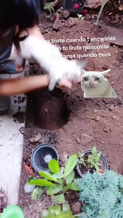 @Canelito Ramirez