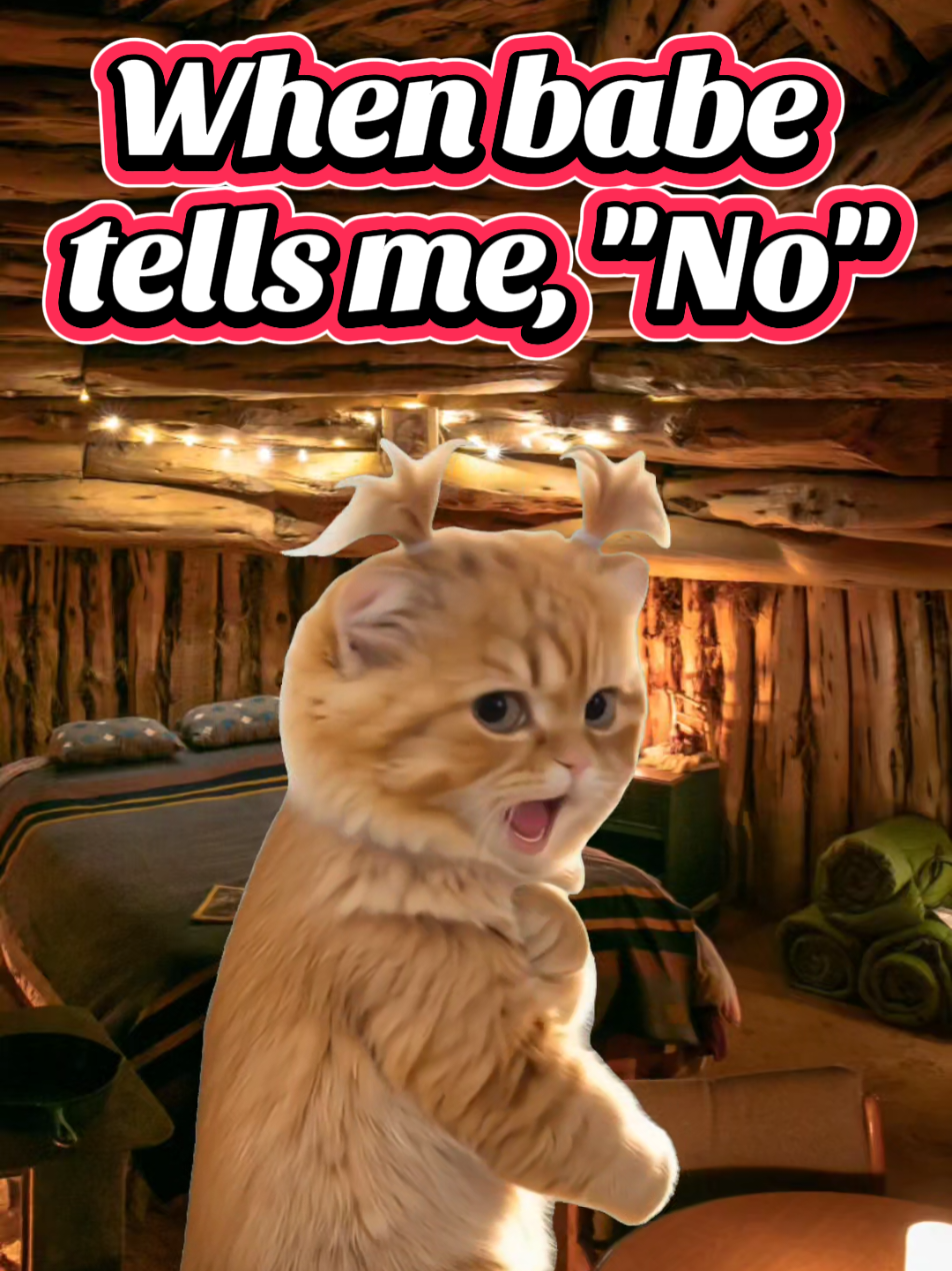 @𝓛𝔂𝓷𝓷 🪷