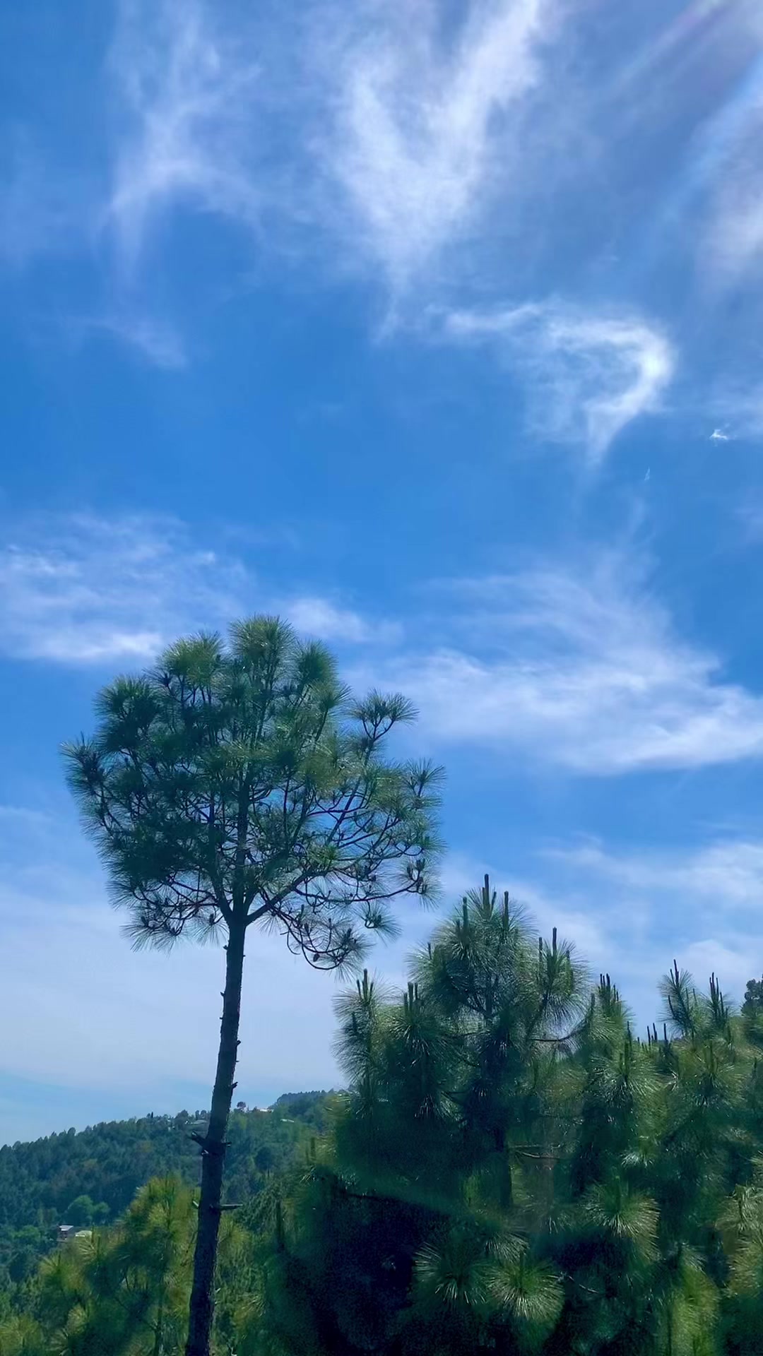 @کشمیری لوگ🏔️🦋