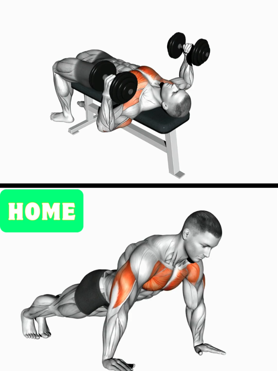 @HOMEWORKOUT
