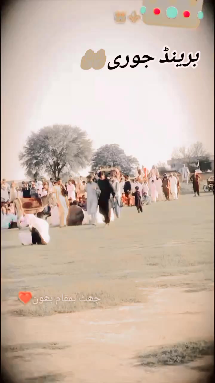 @کنگ 👑 زین علی بھون 👑 کنگ 👑