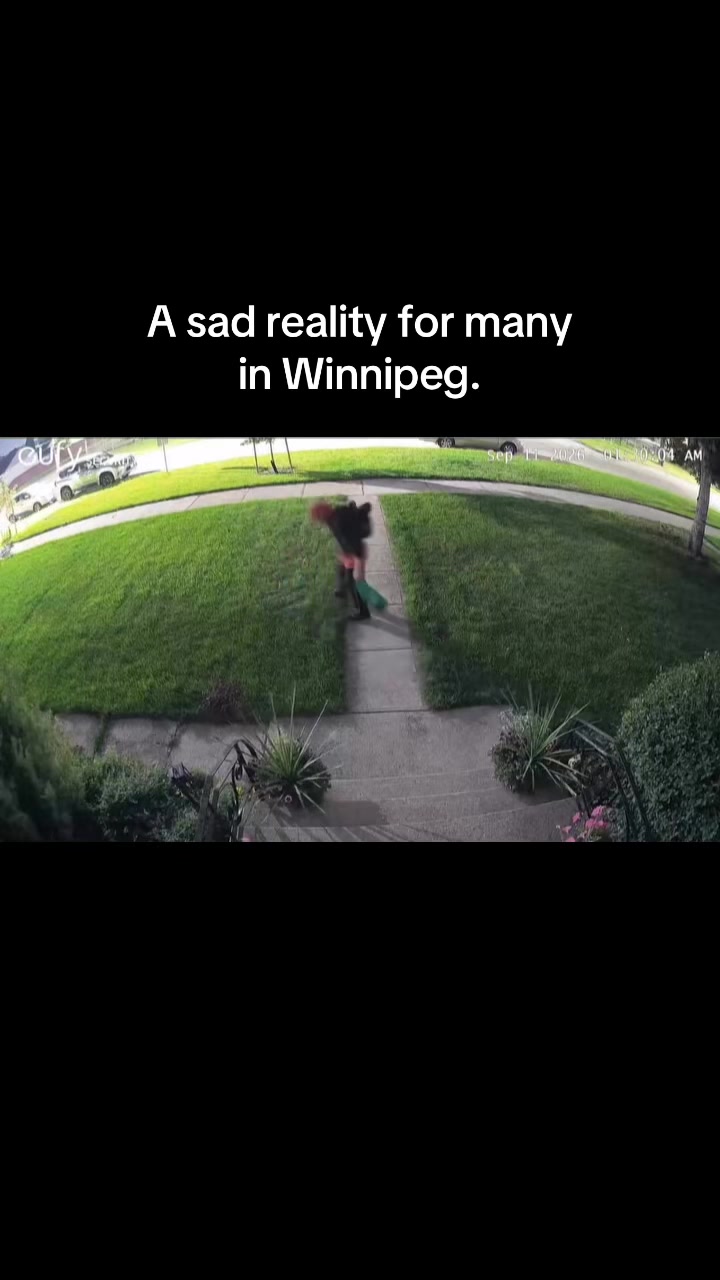 @OnlyInPeg