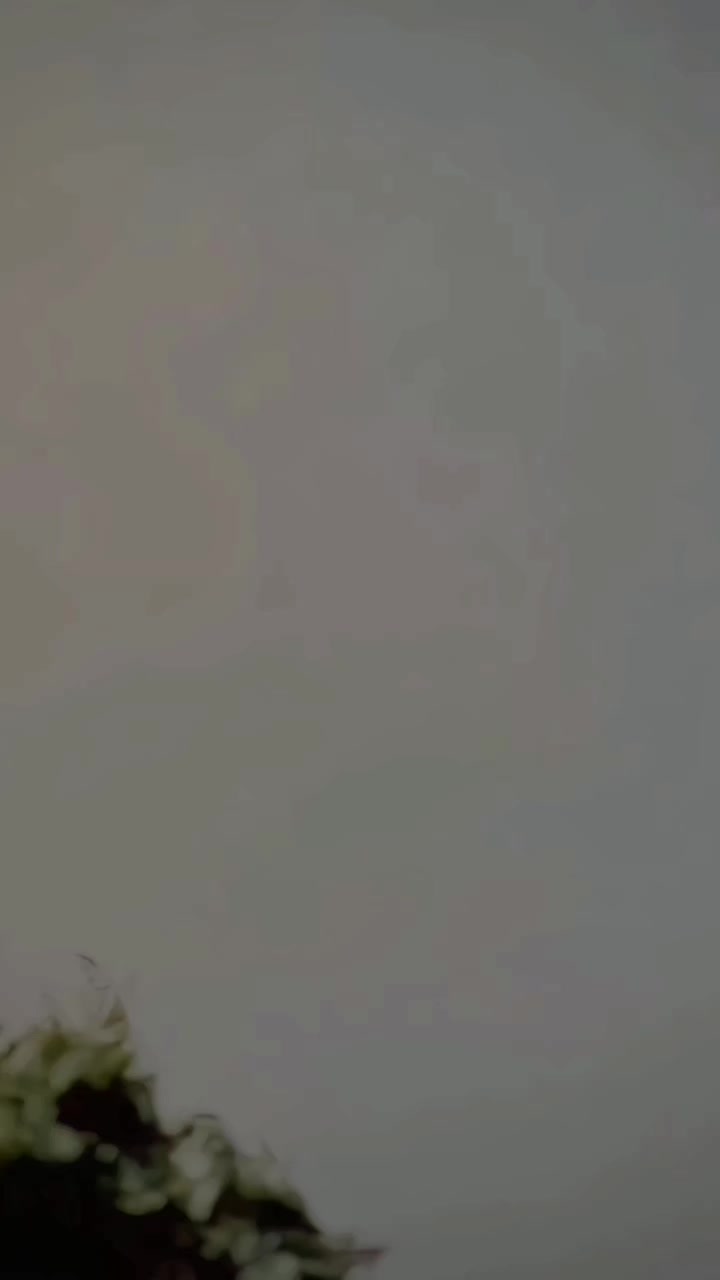 @M A̶し&Iuml; ✅