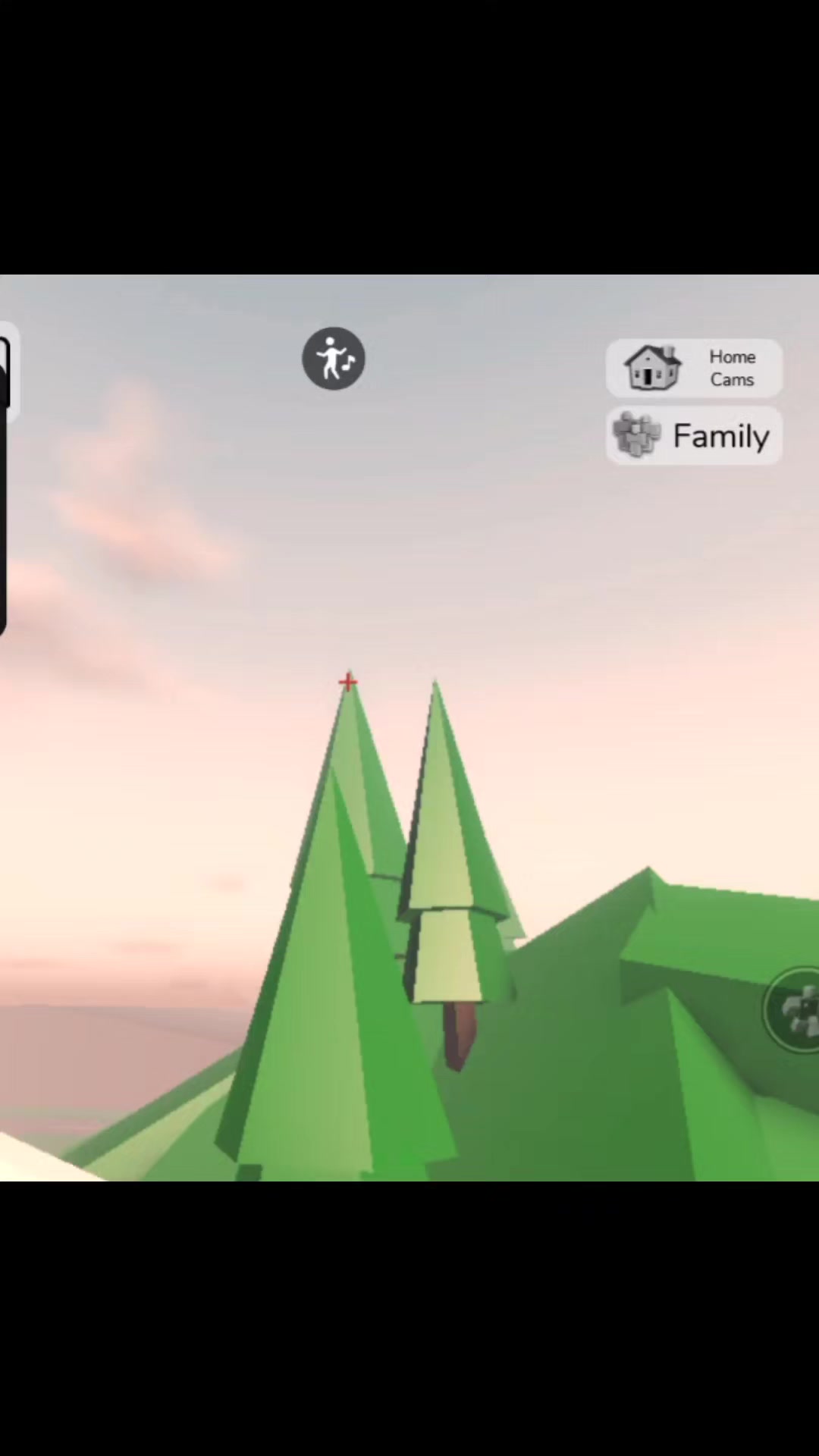 @Roblox_player