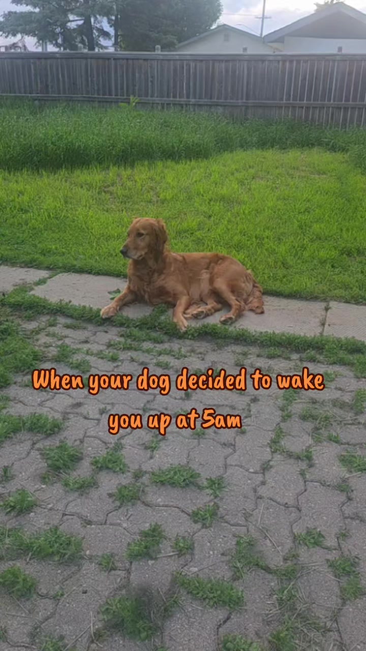 @Tammy