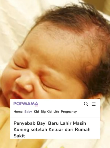 @Popmama