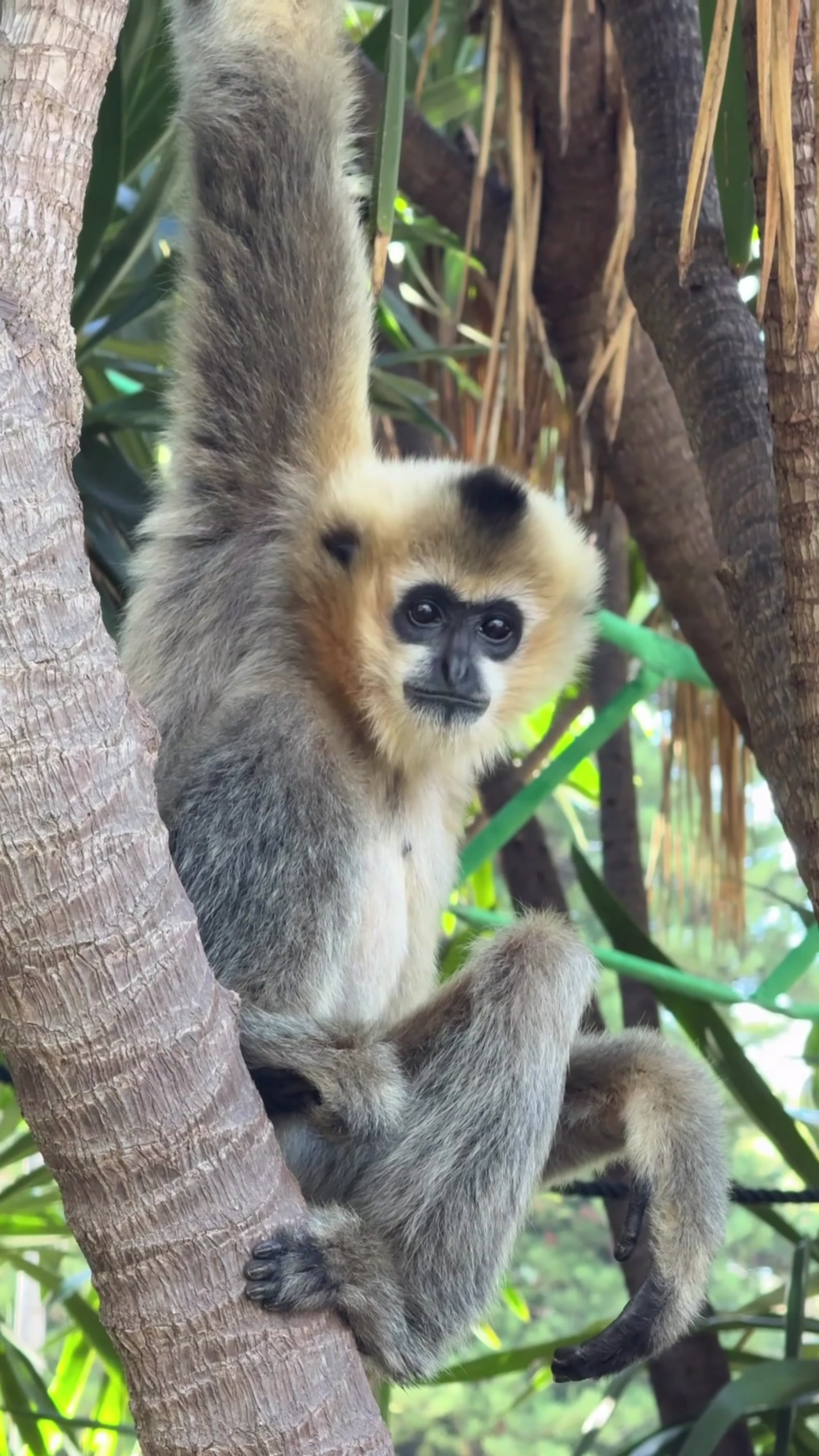 @Perth Zoo