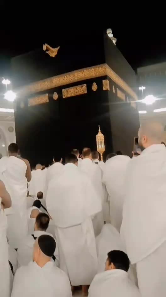 @⭐🦋 سکون قلب 🦋⭐