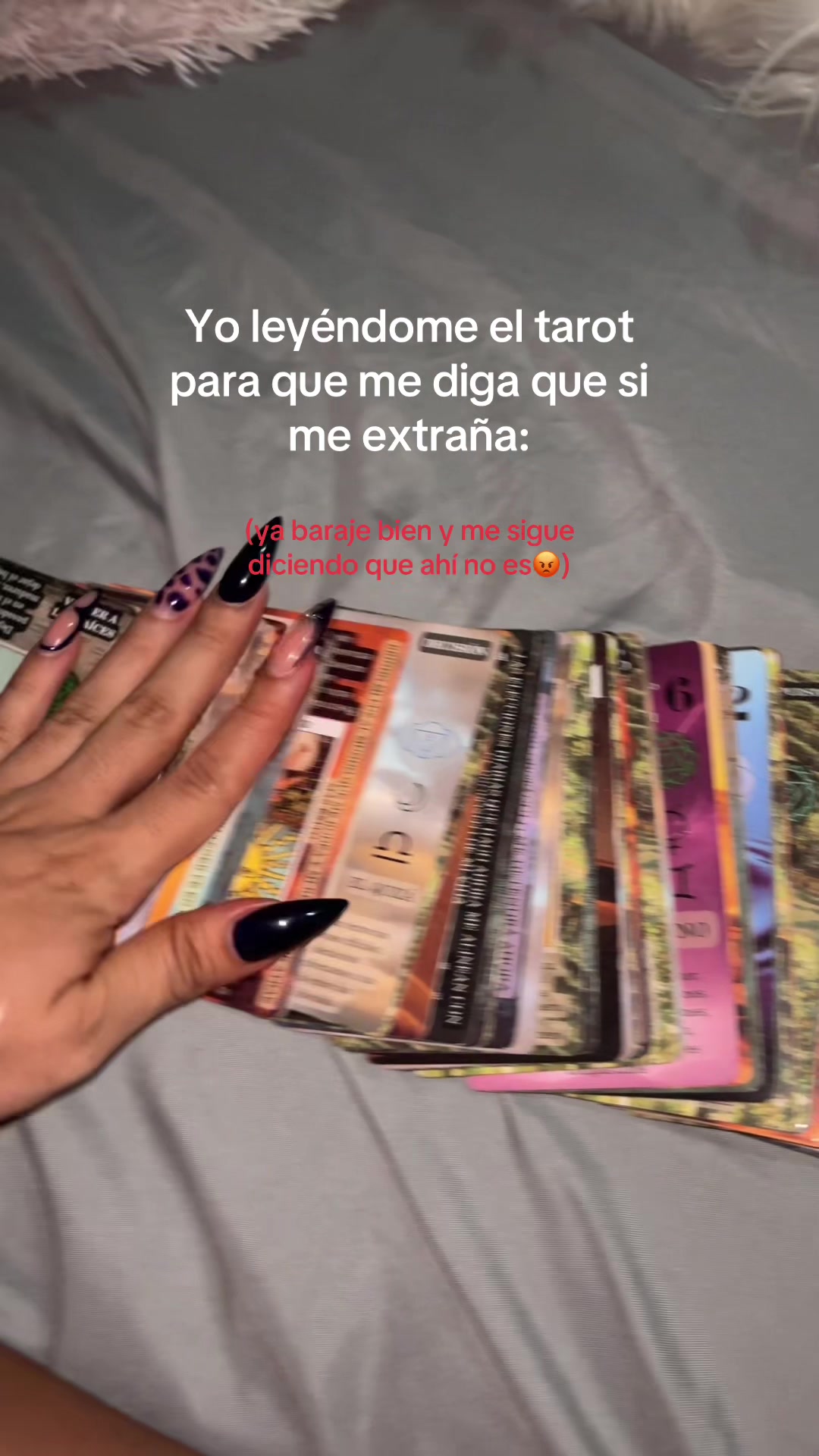 @Zaida🦋