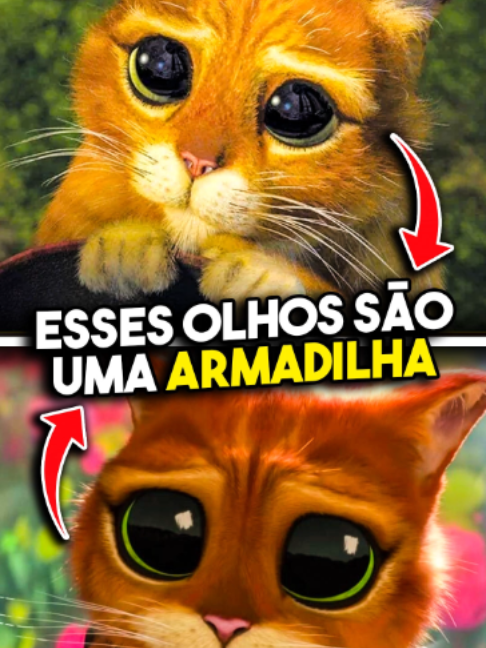@Brendovisck